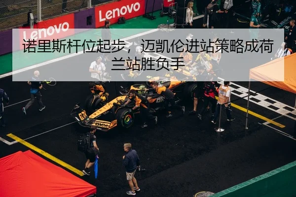 nuo-li-si-gan-wei-qi-bu-mai-kai-lun-jin-zhan-ce-lve-cheng-he-lan-zhan-sheng-fu-shou-2-457.jpg