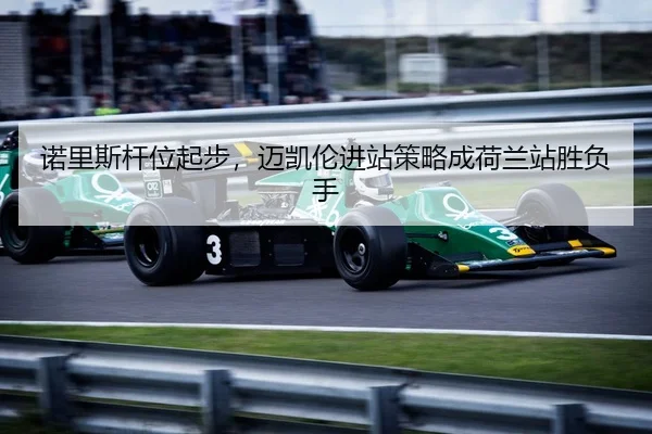 诺里斯杆位起步，迈凯伦进站策略成荷兰站胜负手
