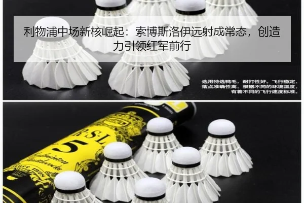 li-wu-pu-zhong-chang-xin-he-jue-qi-suo-bo-si-luo-yi-yuan-she-cheng-chang-tai-chuang-zao-li-yin-ling-hong-jun-qian-xing-3-164.jpg