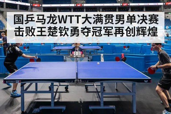 table tennis final action